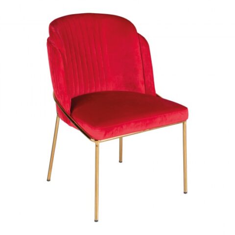 Ibr02 1 550x550