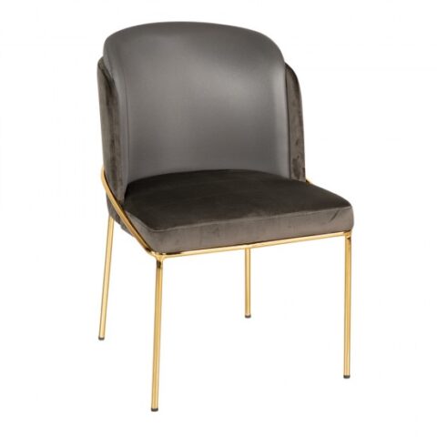 Ibr02 5 550x550