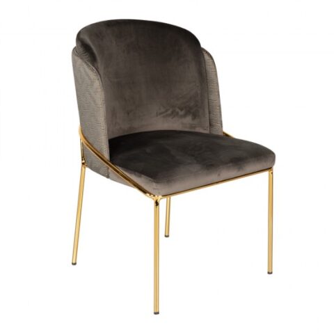 Ibr02 6 550x550