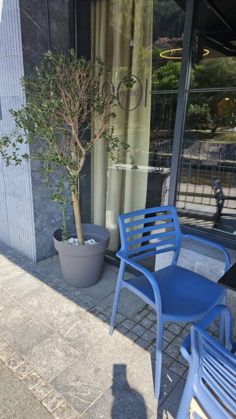 IMG 20260729 WA0015