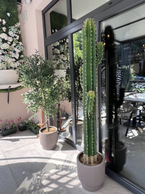 IMG 20260811 WA0003