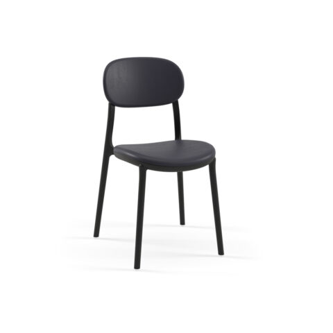 Ant Blk
