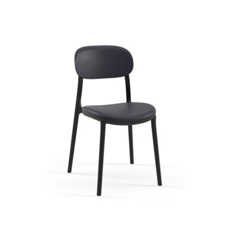 Ant Blk