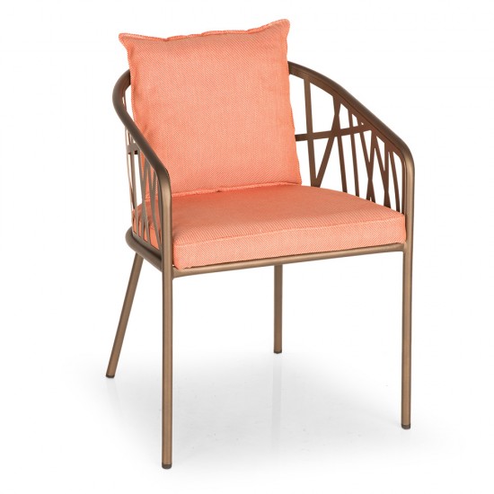 Twt02 2 550x550