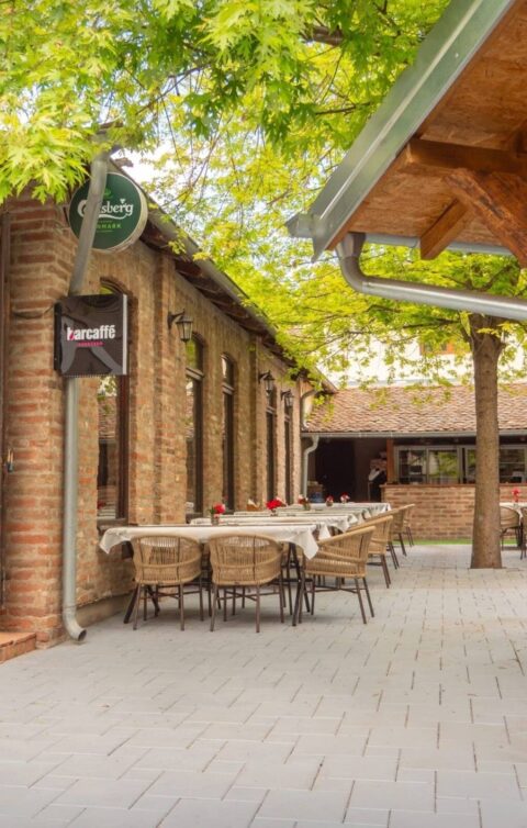 Viber slika 2026 05 07 08 44 54
